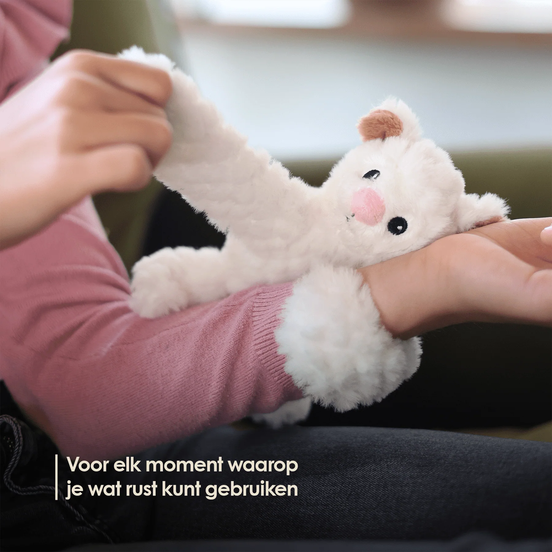 Vorschaubild 11