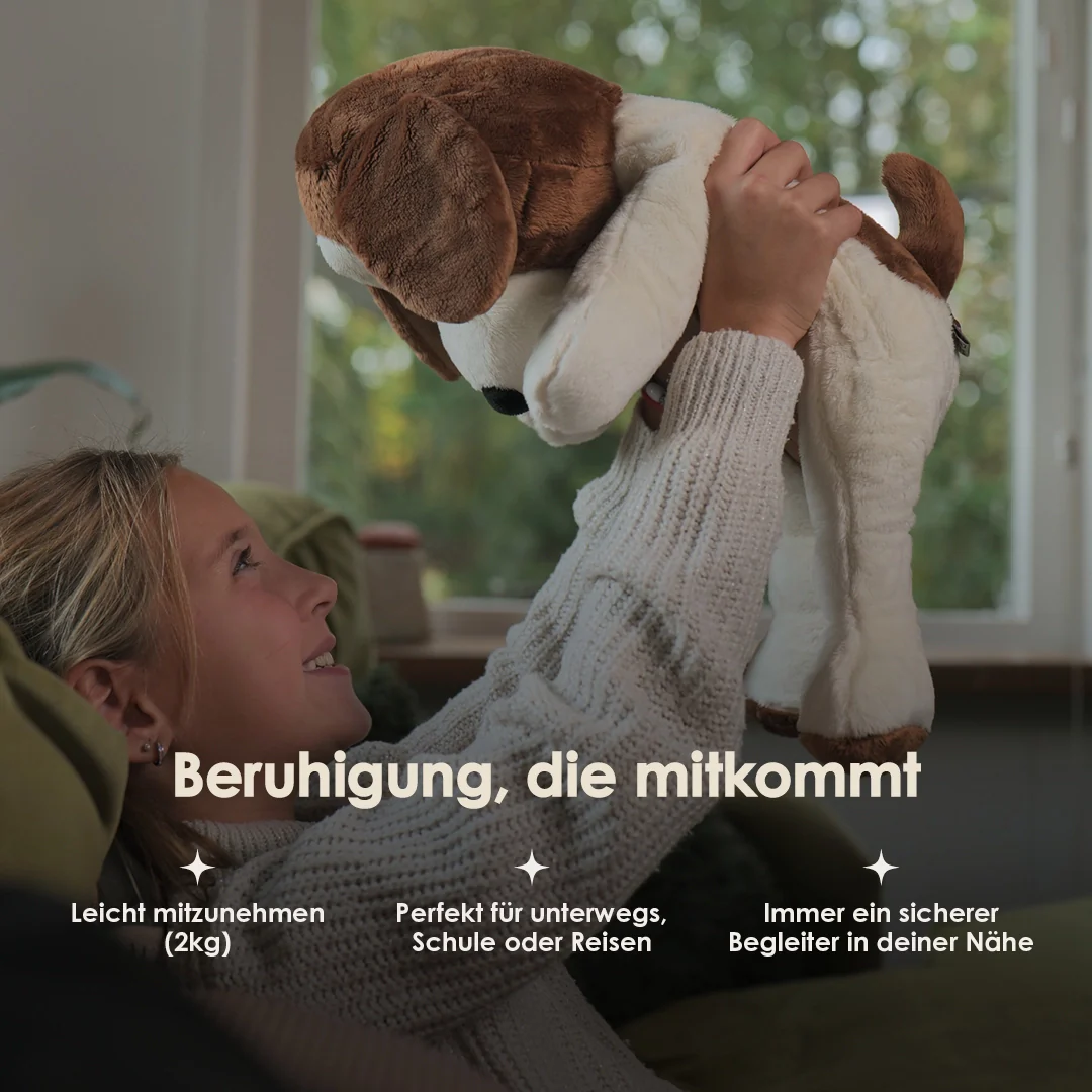 Vorschaubild 12