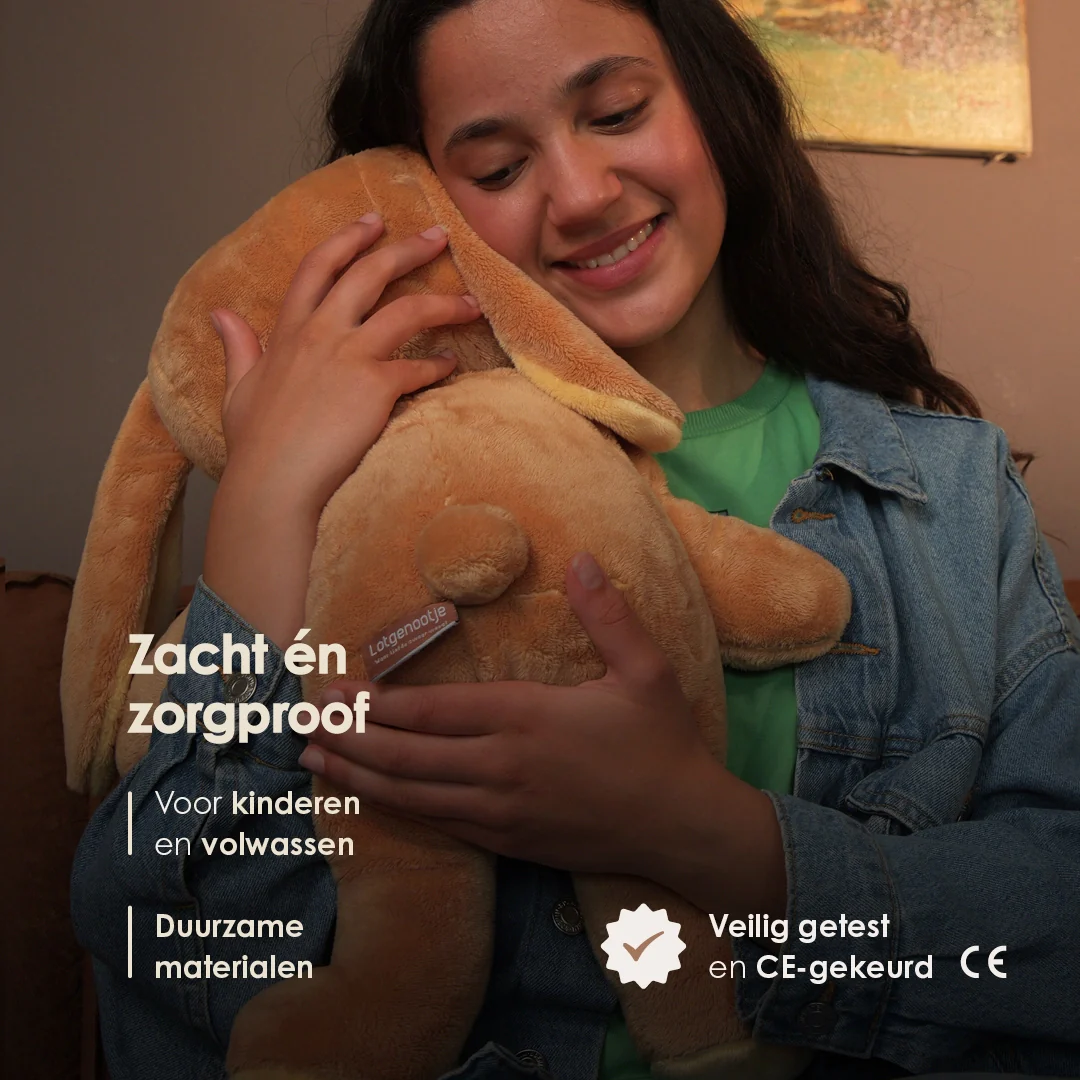 Vorschaubild 13