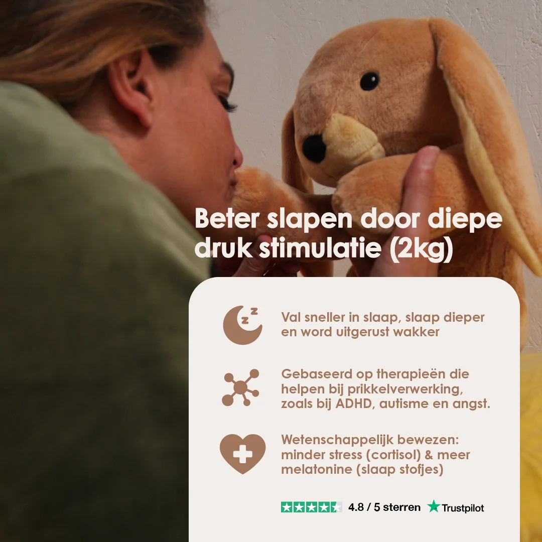 Vorschaubild 9