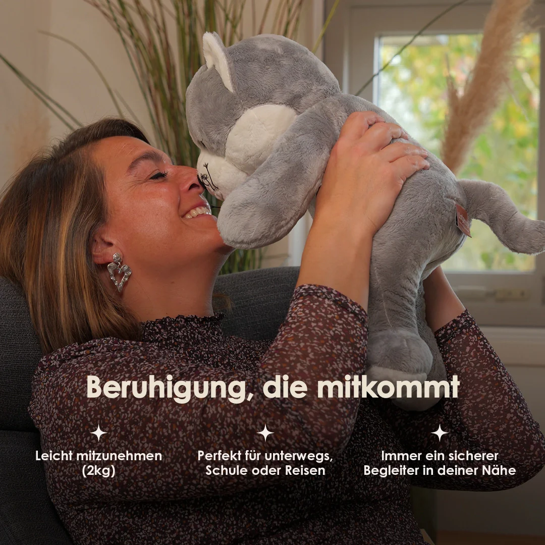 Vorschaubild 12