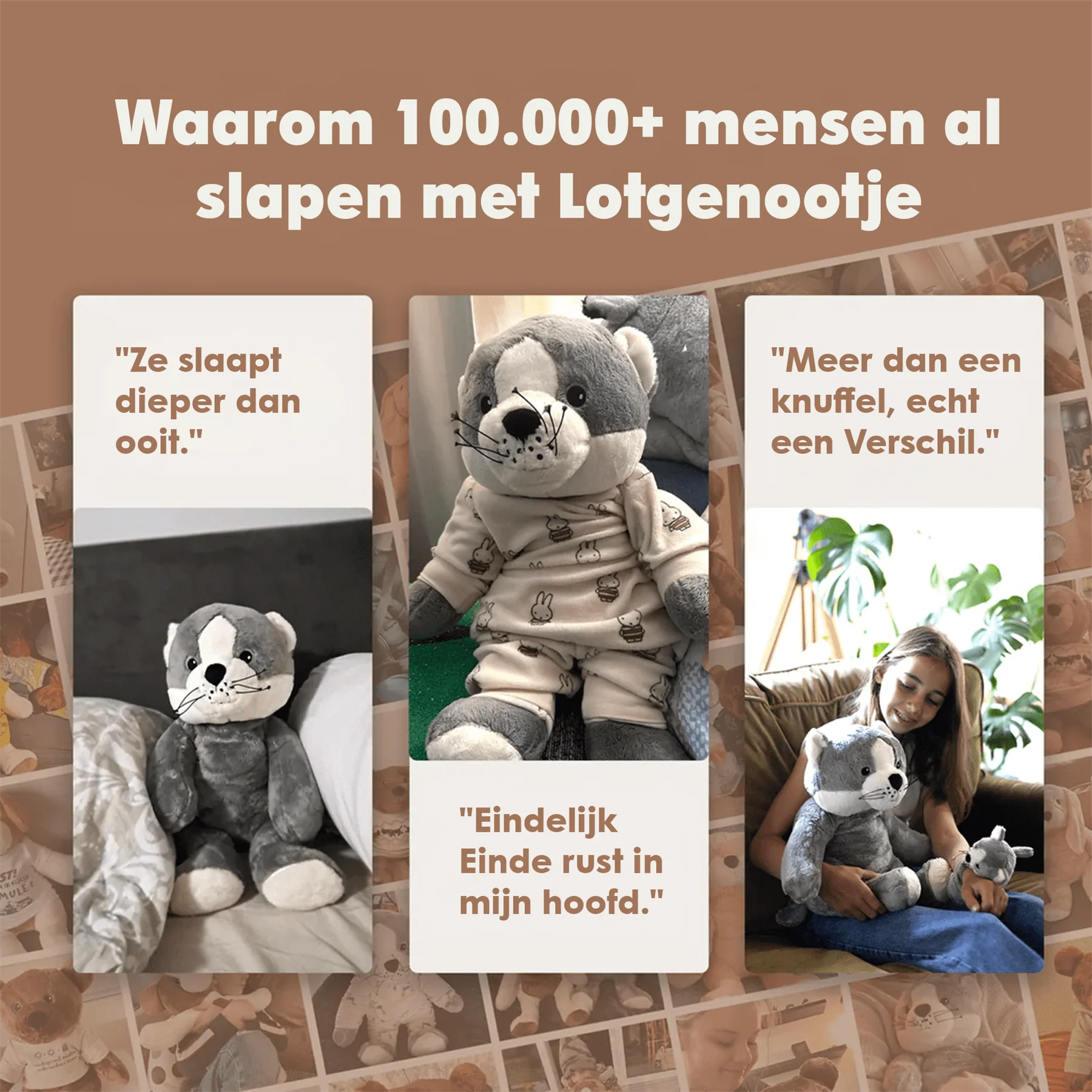 Vorschaubild 15