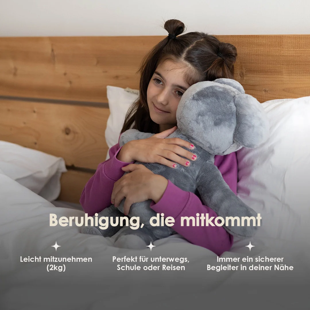 Vorschaubild 12