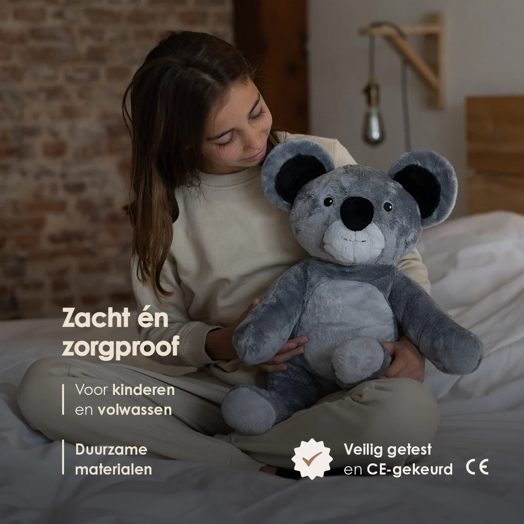 Vorschaubild 13