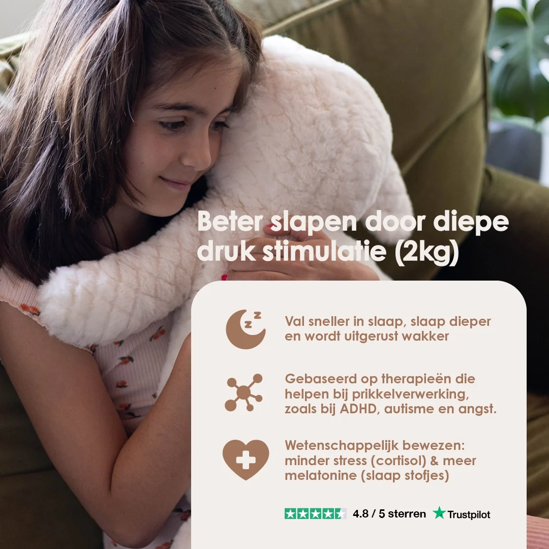 Vorschaubild 6