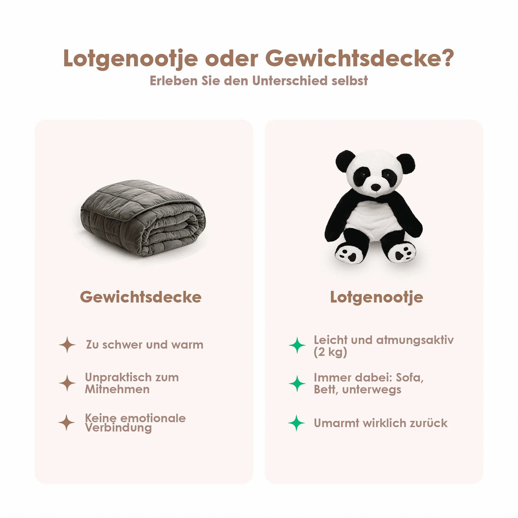 Vorschaubild 13