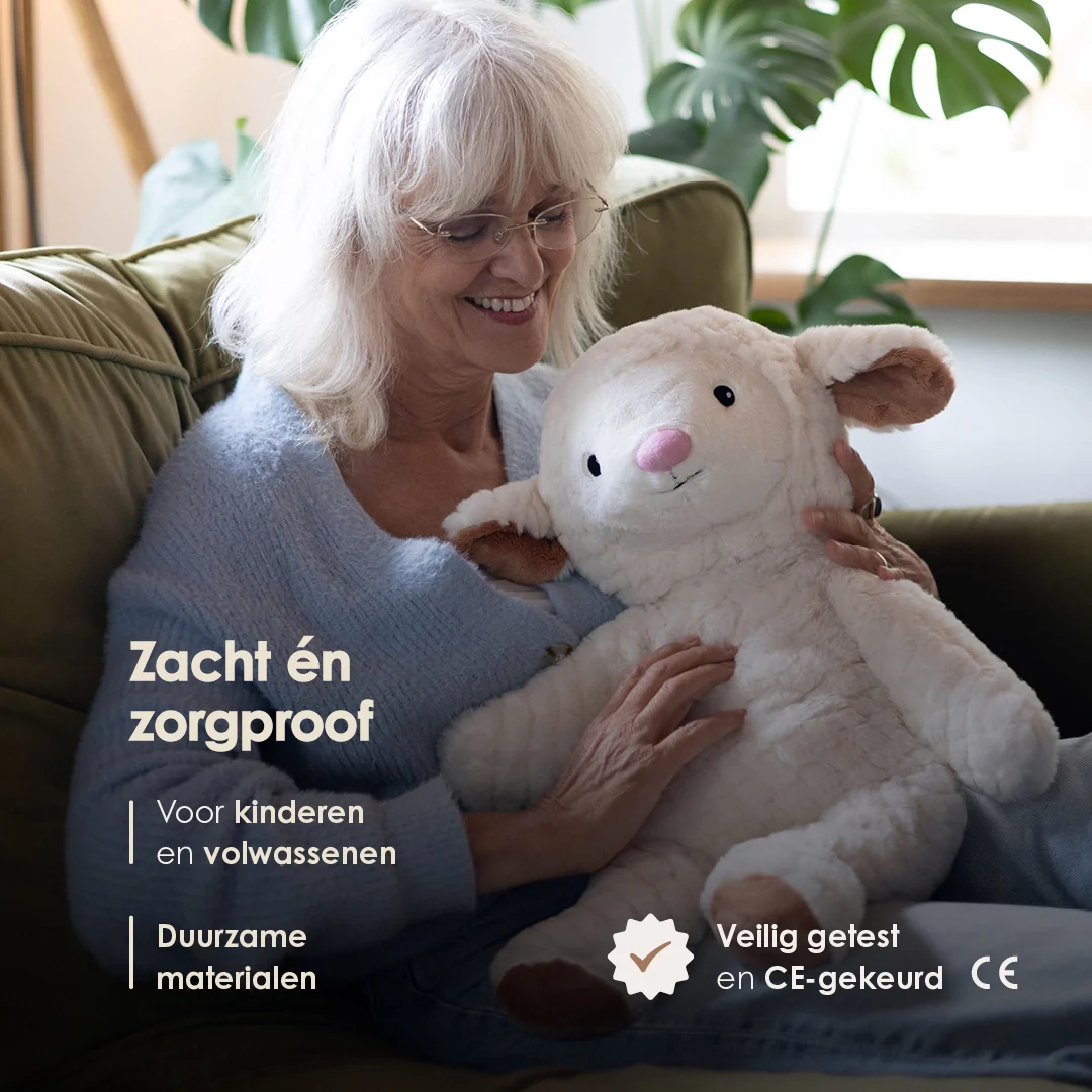 Vorschaubild 8