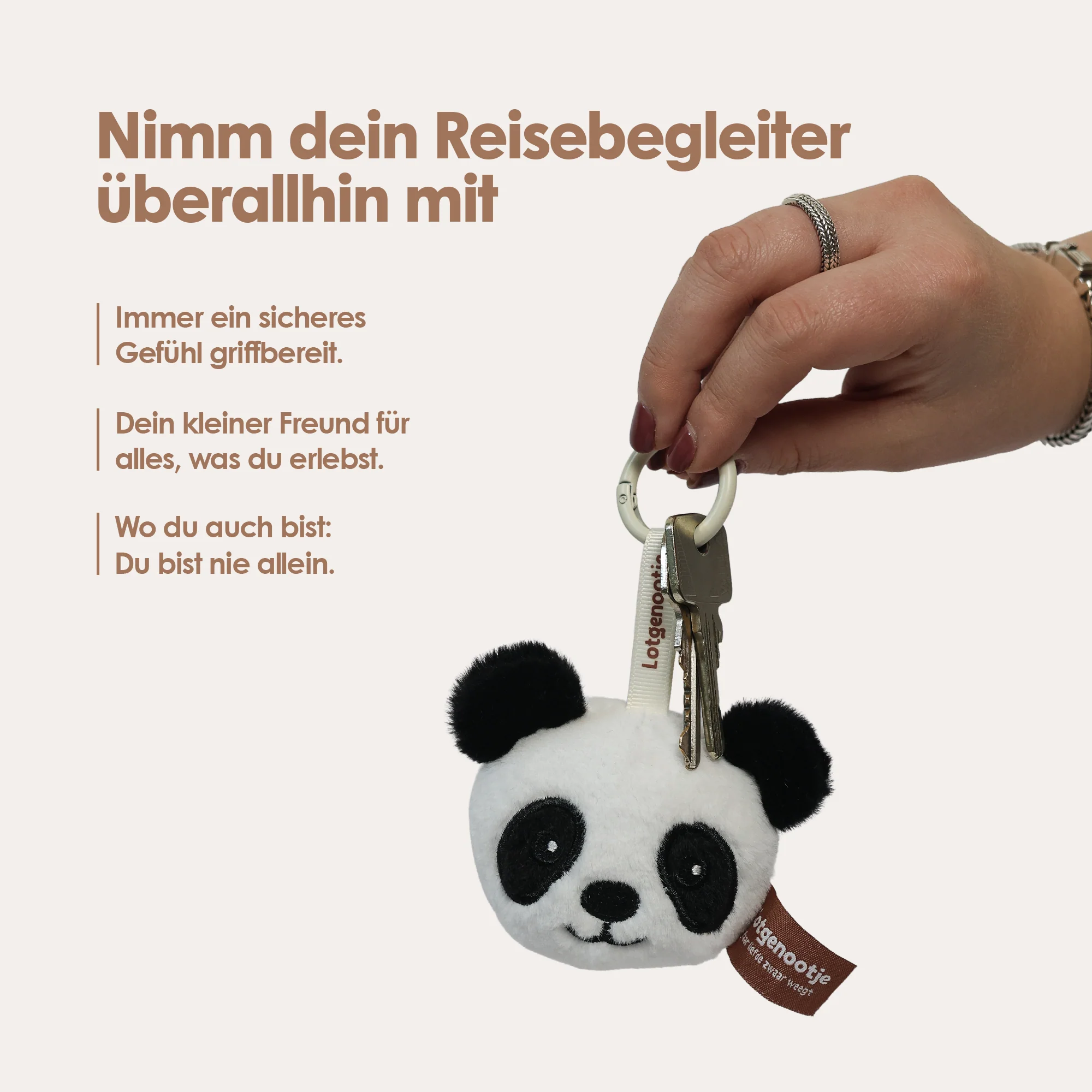 Vorschaubild 10